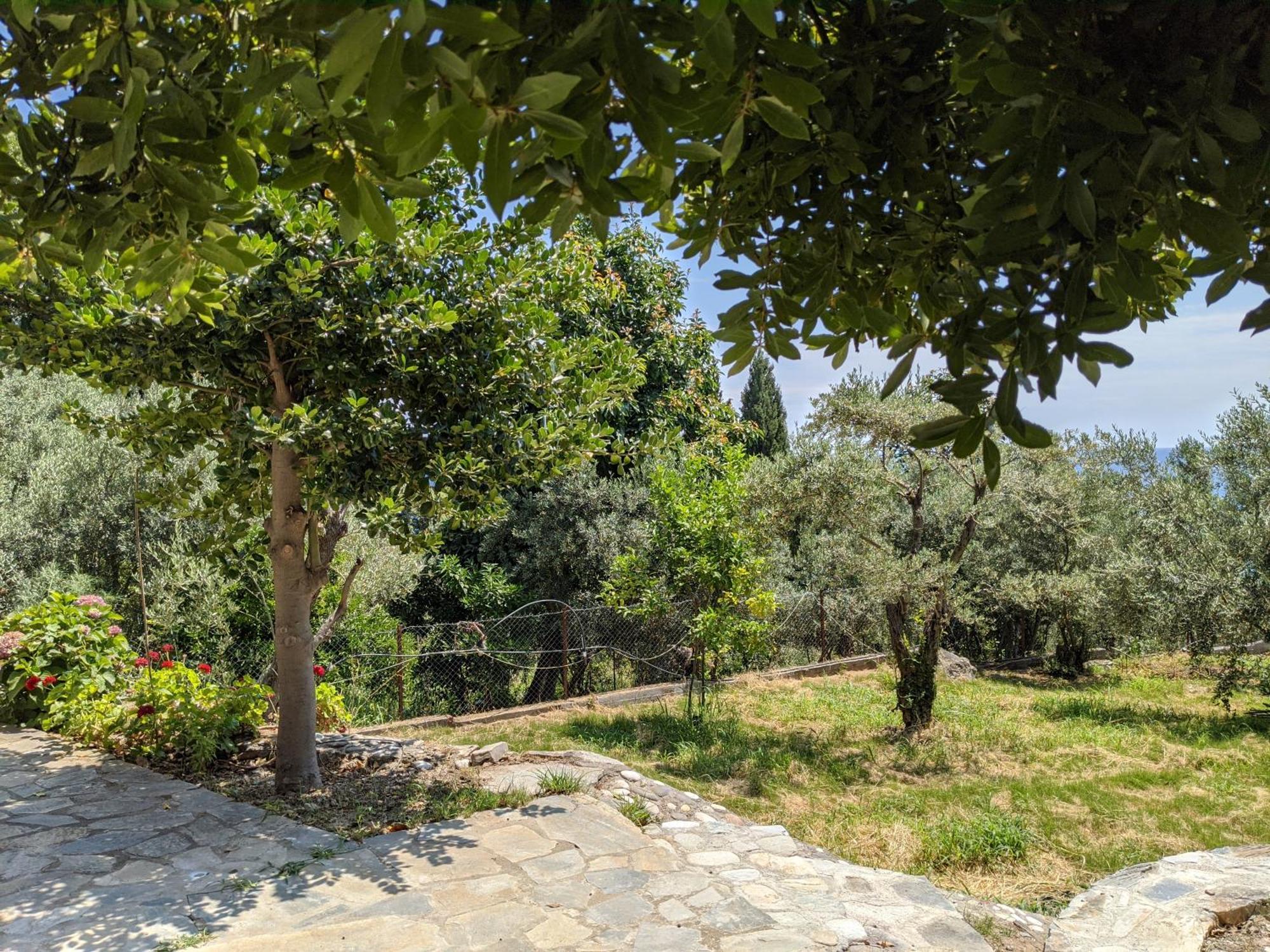Daria'S Home Agioi Saranta Luaran gambar