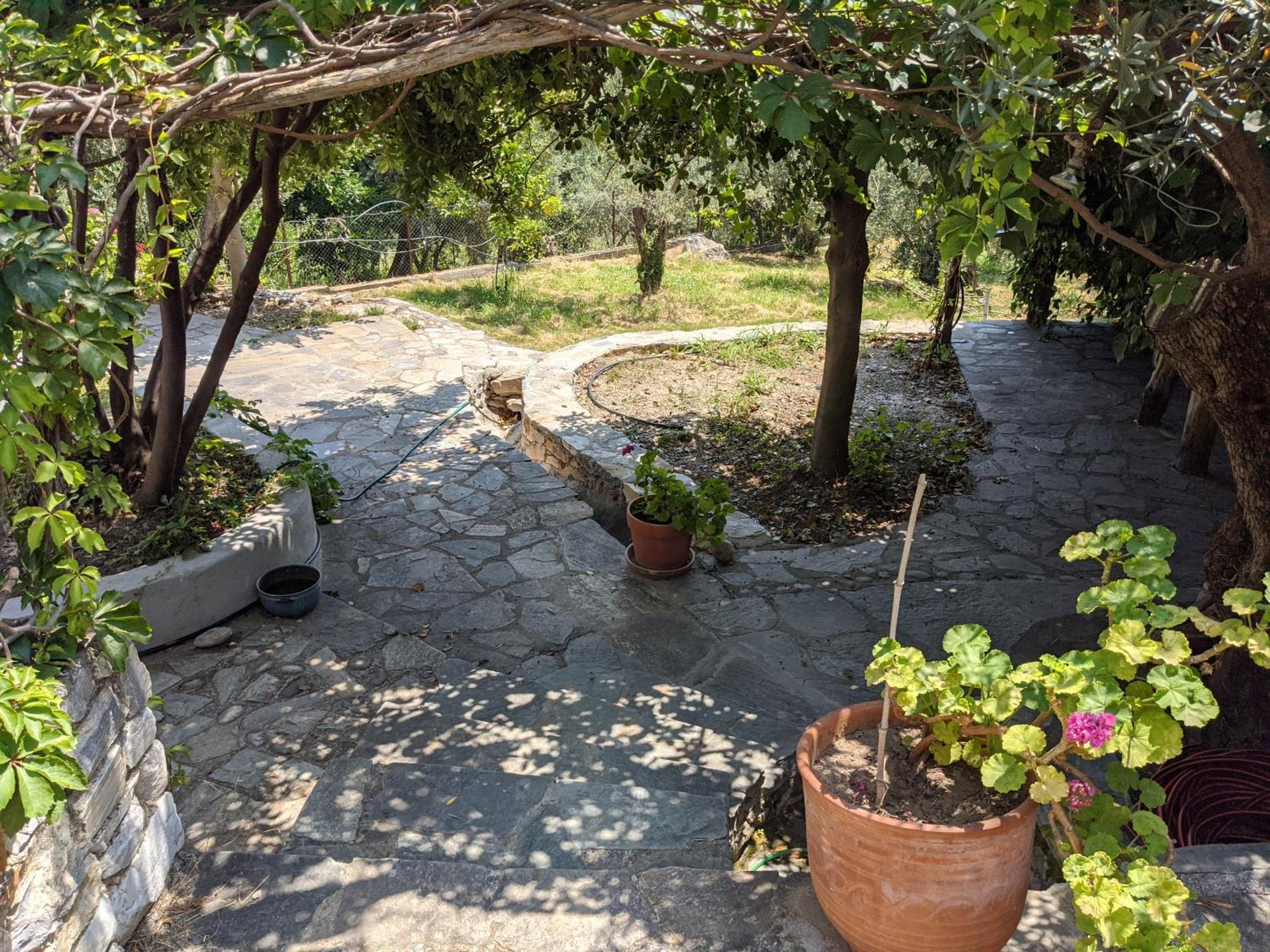 Daria'S Home Agioi Saranta Luaran gambar